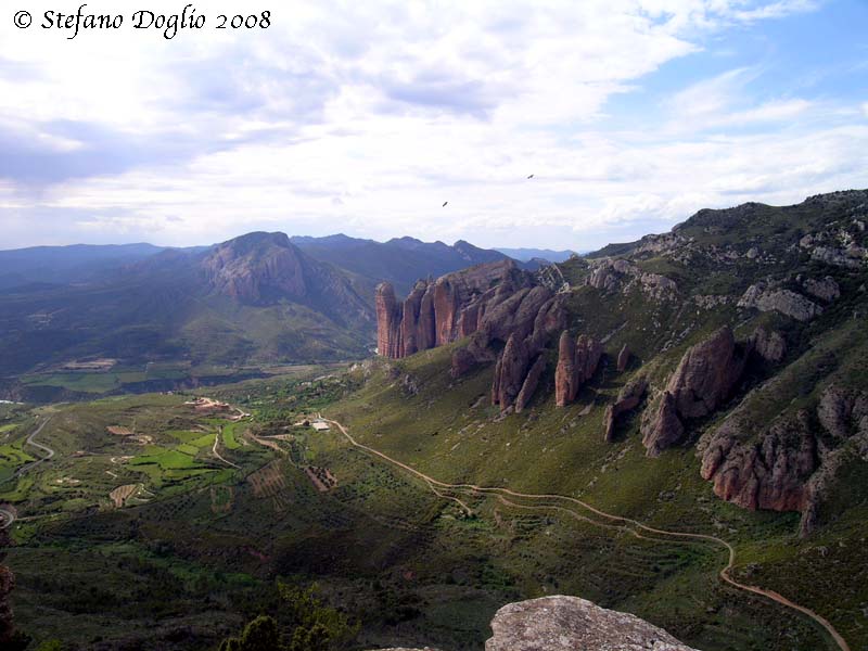 orchidee della Sierra de Guara (Spagna)